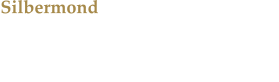 Silbermond Stefanie Klo, Andreas Nowak, Johannes und Thomas Stolle: Richtig guter Gitarren-Pop.