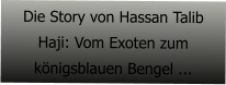 Die Story von Hassan Talib Haji: Vom Exoten zum knigsblauen Bengel ...